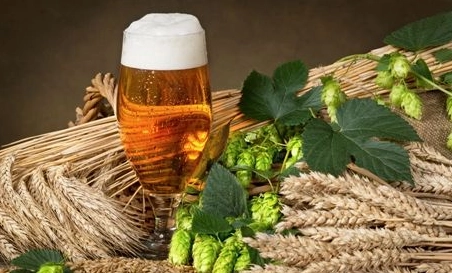 精釀啤酒中，如何選擇恰當?shù)慕湻椒ǎ?> </a>
    </dt> 
    <dd> 
     <h4><a href=